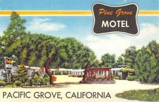 Pacific grove california for sale  USA