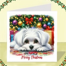 Maltese dog christmas for sale  STOCKTON-ON-TEES