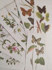 Vintage botanical prints for sale  BIRKENHEAD