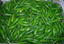 Serrano pepper distinctive for sale  Buchanan