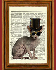 Steampunk sphynx cat for sale  Hernando
