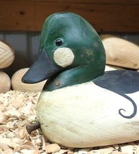 Folk art goldeneye for sale  Millington