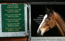 Kauto star iconic for sale  LEEDS