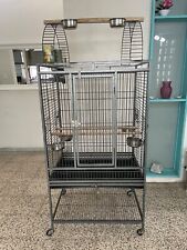 Extra large parrot for sale  USA