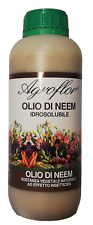 Olio neem puro usato  Montesilvano