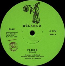 Delanuà flood black d'occasion  Beausoleil