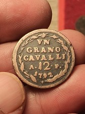 Splendida grano cavalli usato  Roma