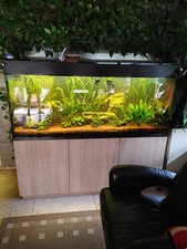 Aquarium komplett set gebraucht kaufen  Laubach