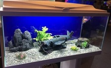 Brand new large for sale  DAGENHAM