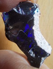 Violet schwarz äthiopische gebraucht kaufen Violet schwarz äthiopische gebraucht kaufen  Schorndorf