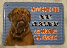dogue bordeaux d'occasion dogue bordeaux d'occasion  Le Mans
