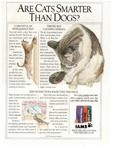 1991 iams cat for sale  Kingwood
