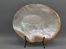 Huge mother pearl for sale  Porter Ranch