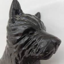 West highland terrier for sale  NEWPORT