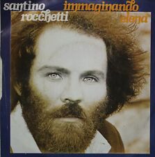 Santino rocchetti armonia usato  Poirino