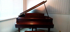 Steinway baby grand for sale  Golden