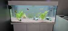 200 juwel aquarium gebraucht kaufen  Gevelsberg