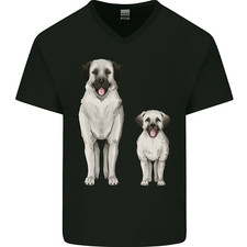 Berger anatolien chien d'occasion  Expédié en France