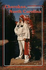 Chief henry cherokee d'occasion  Expédié en Belgium