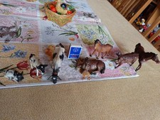 Masse pferde kühe gebraucht kaufen  Zittau