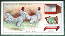 Bantam chickens vintage for sale  DERBY