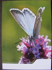 Postkarte ansichtskarte sammlu gebraucht kaufen  Bremen
