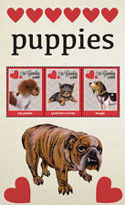 Gambia 2012 puppies for sale  Brooklyn