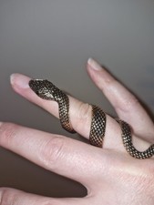 Bague serpent tbe d'occasion Bague serpent tbe d'occasion  Riedisheim