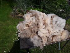 Rohwolle schaf wolle gebraucht kaufen  Neugersdorf