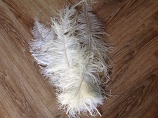 Large ostrich feathers for sale  BENFLEET
