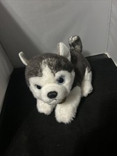 Miyoni siberian husky for sale  Humble