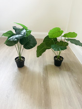 Artificial plants for sale  UK