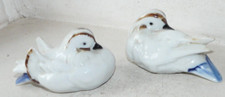 Couple pigeons paire d'occasion  Arronville
