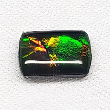 8x5mm rectangular ammolite for sale  Sweet Grass