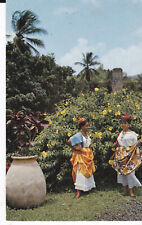 Cpsm martinique costume d'occasion  Saint-Pol-de-Léon