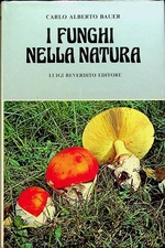 Funghi nella natura. usato  Italia