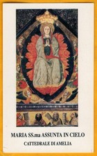 amelia usato  Italia