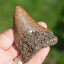 Lovely river found for sale  UK