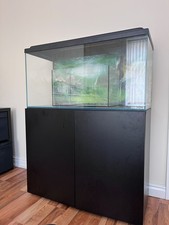 200 litres fish for sale  ASHTON-UNDER-LYNE