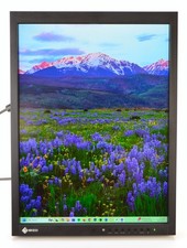 Monitor médico LCD EIZO MX215 RadiForce 21" ressonância magnética/TC DICOM comprar usado Monitor médico LCD EIZO MX215 RadiForce 21" ressonância magnética/TC DICOM comprar usado  Enviando para Brazil