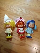 Vintage strawberry shortcake for sale  Des Moines