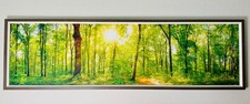 Forrest tree picture for sale  Hutto