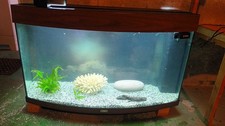 Aquarium complet juwel d'occasion  Chilly-Mazarin