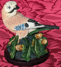 jay bird for sale  SALFORD