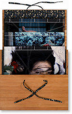 Araki nobuyoshi bondage usato  Italia