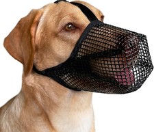 Mayerzon dog muzzle for sale  Queen Creek