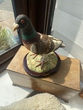 Collectible ringed racing for sale  OSSETT