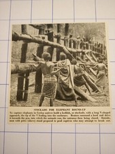 Stockade para elefante redondo Ceilão keddah batedores rebanho e unidade c 1950, usado comprar usado  Enviando para Brazil
