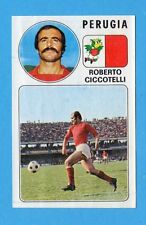 Panini calciatori 1976 usato  Milano