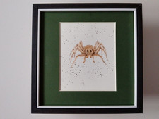 Hannah dale wildlife for sale Hannah dale wildlife for sale  YORK